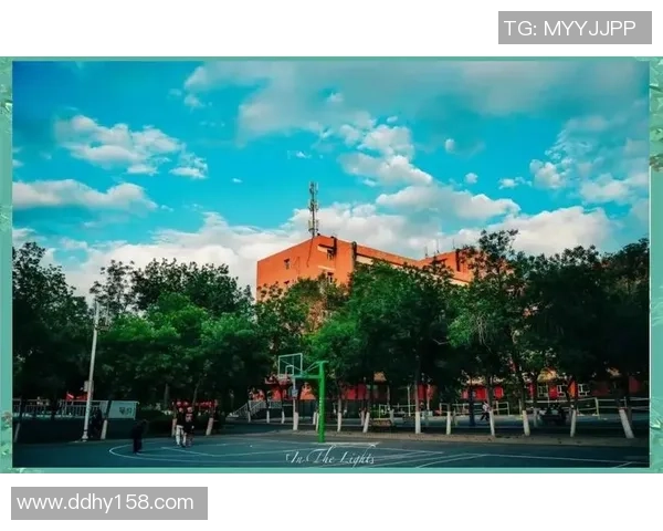 东城万达篮球场周边活动推荐及篮球爱好者聚集地探索指南